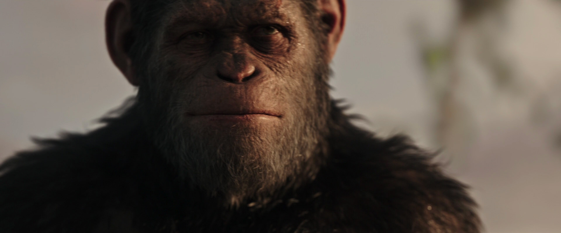 War for the Planet of the Apes (2017) movie still 15496