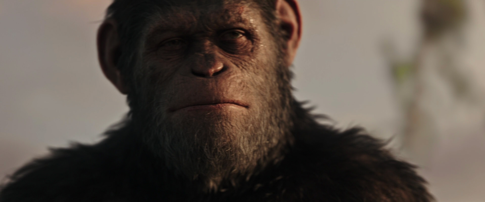 War for the Planet of the Apes (2017) HD screenshot 15497