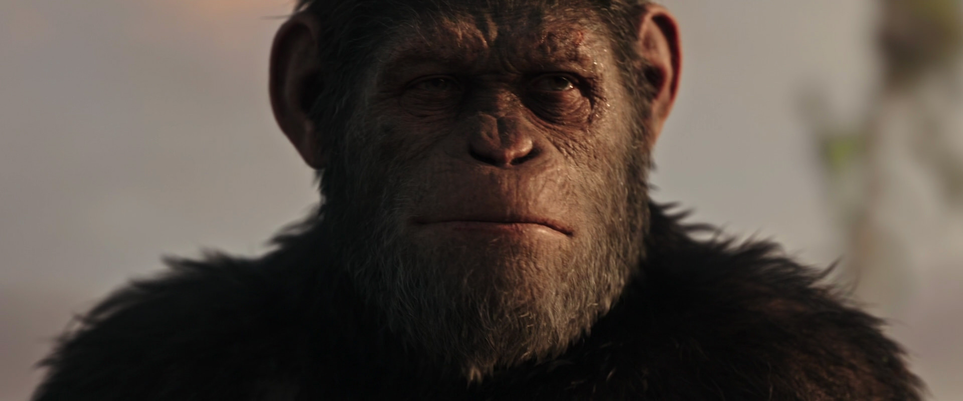 War for the Planet of the Apes (2017) screencap 15498
