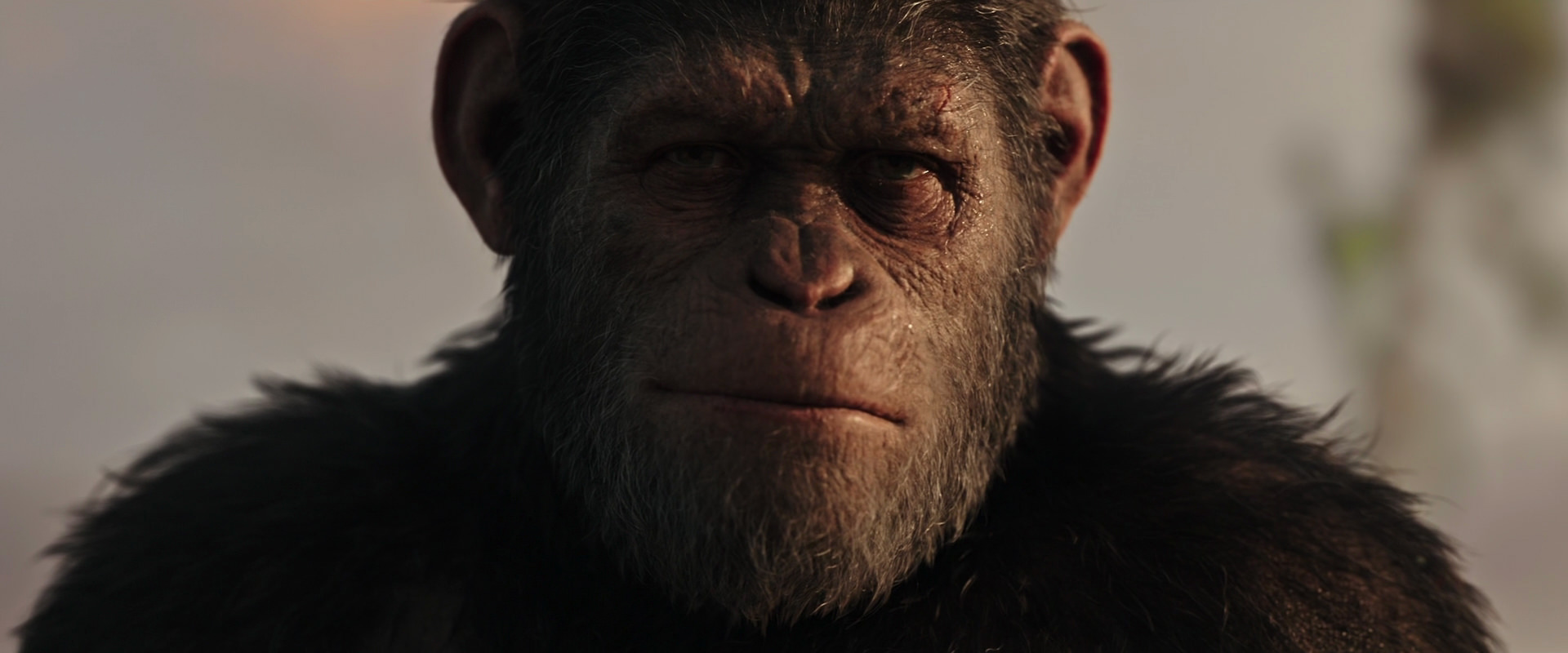 War for the Planet of the Apes (2017) movie still 15499