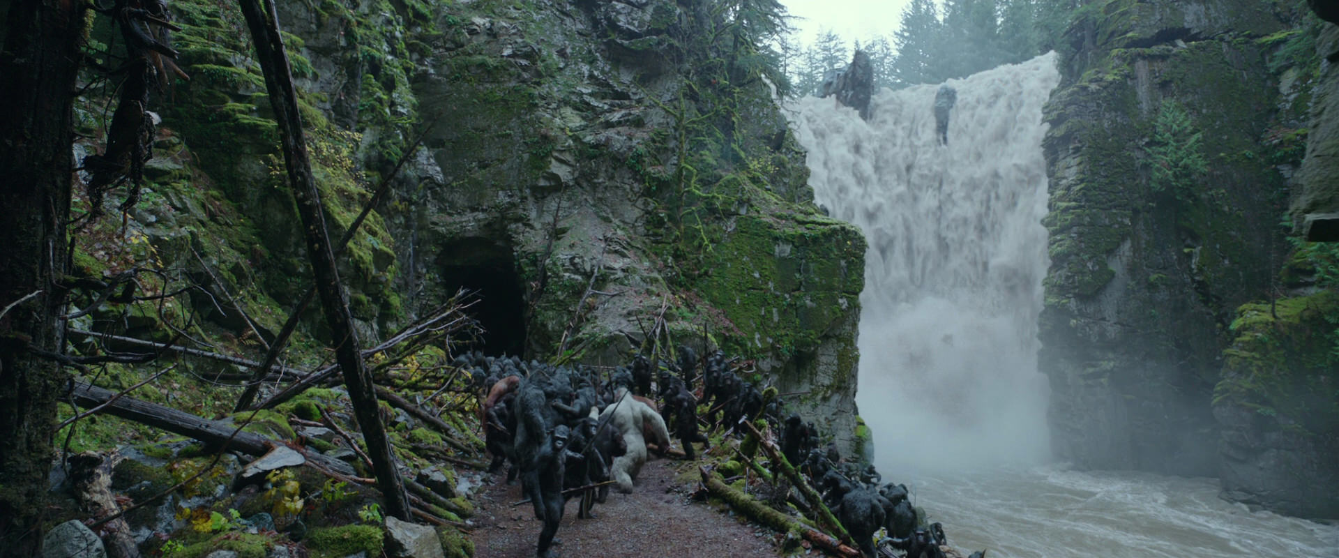 War for the Planet of the Apes (2017) HD screenshot 1550