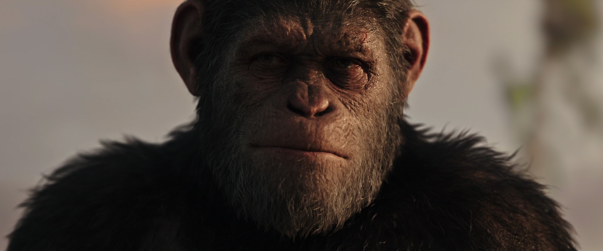 War for the Planet of the Apes (2017) HD screenshot 15500