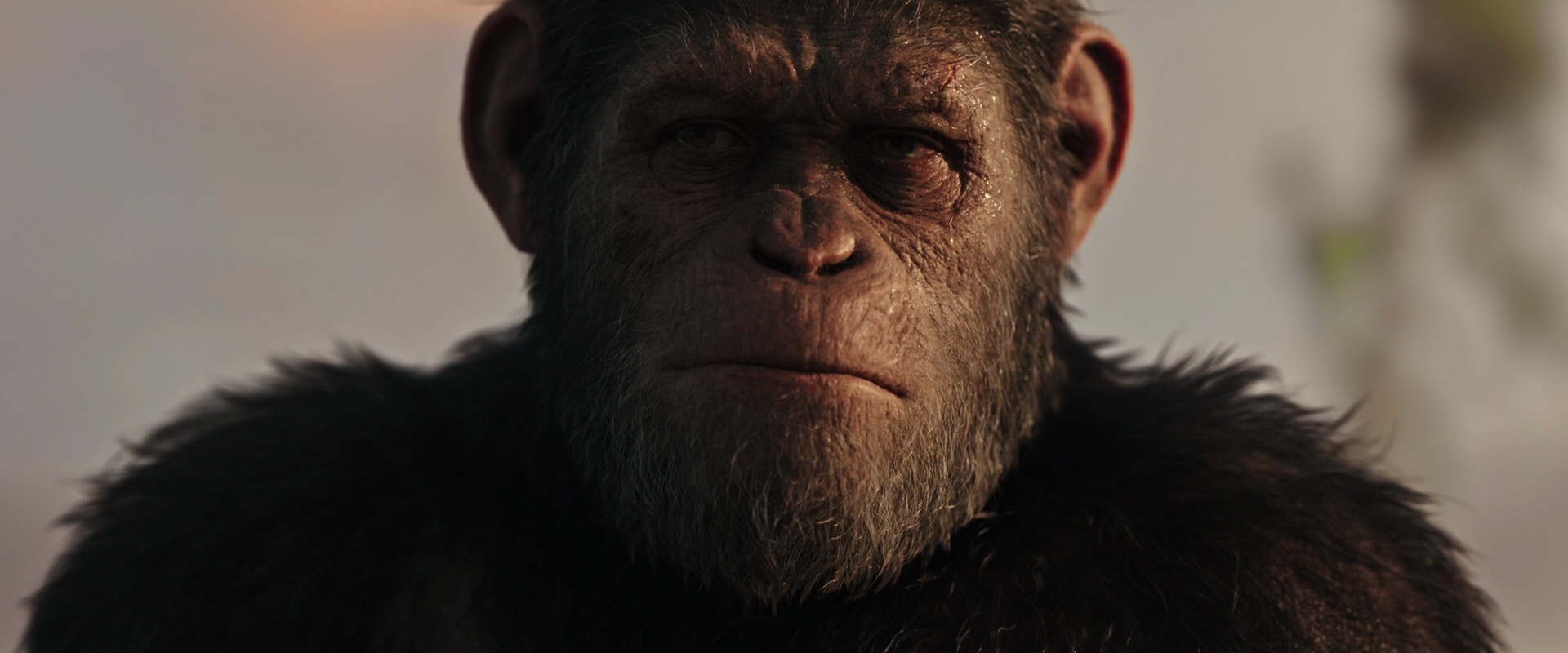 War for the Planet of the Apes (2017) screencap 15501