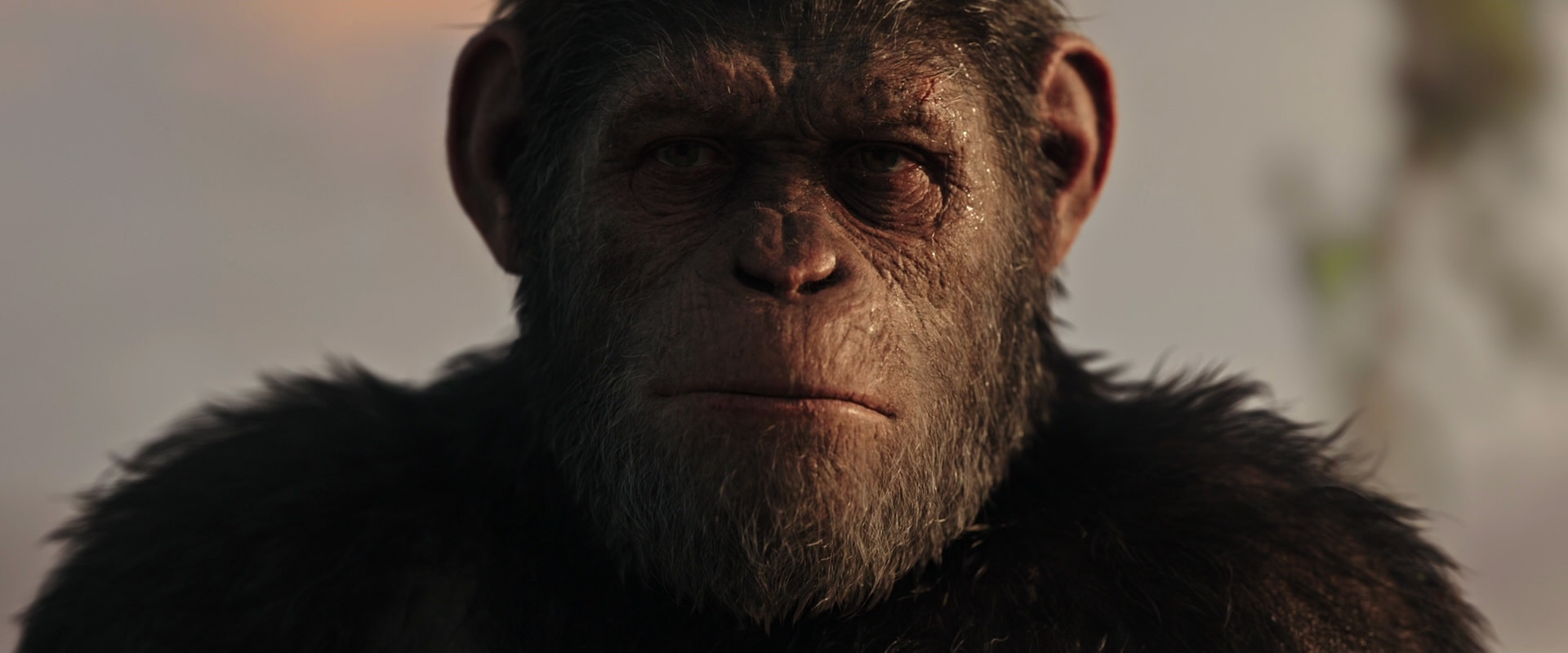 War for the Planet of the Apes (2017) movie still 15502