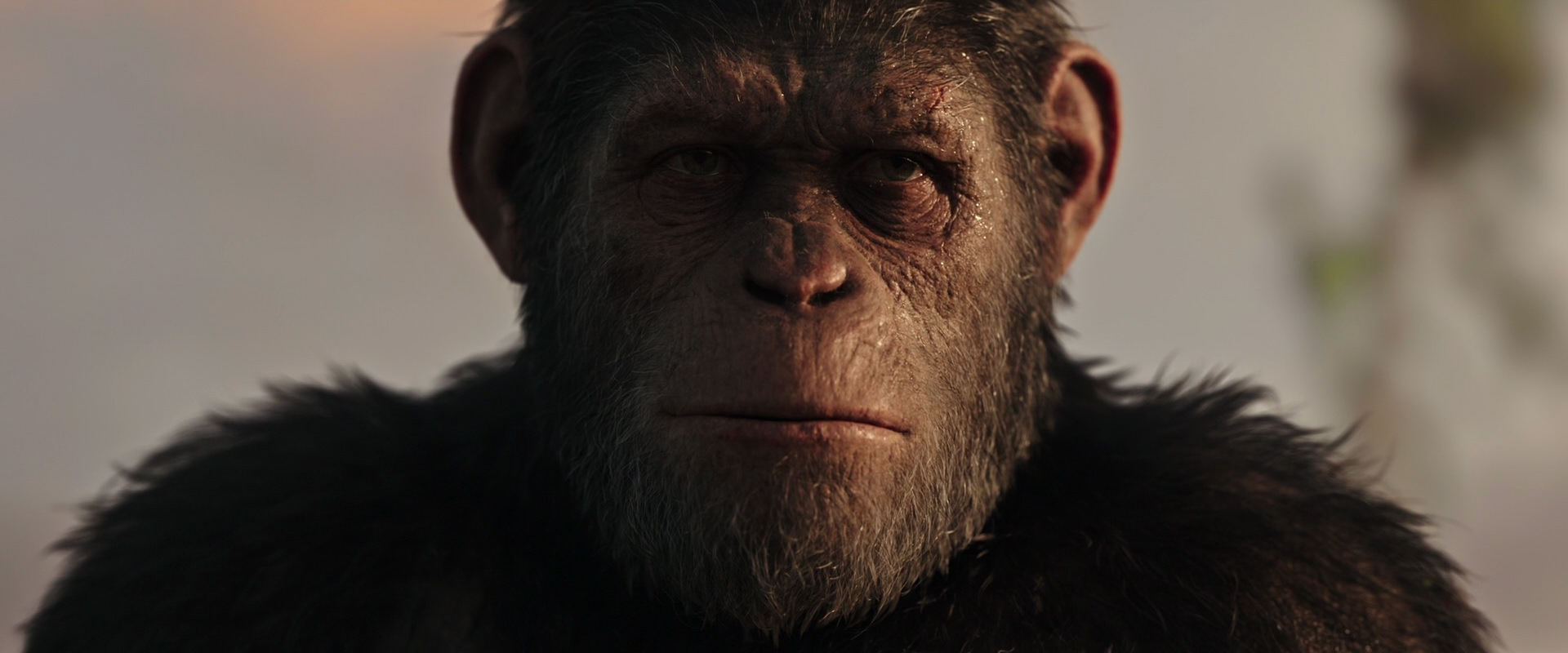 War for the Planet of the Apes (2017) HD screenshot 15503