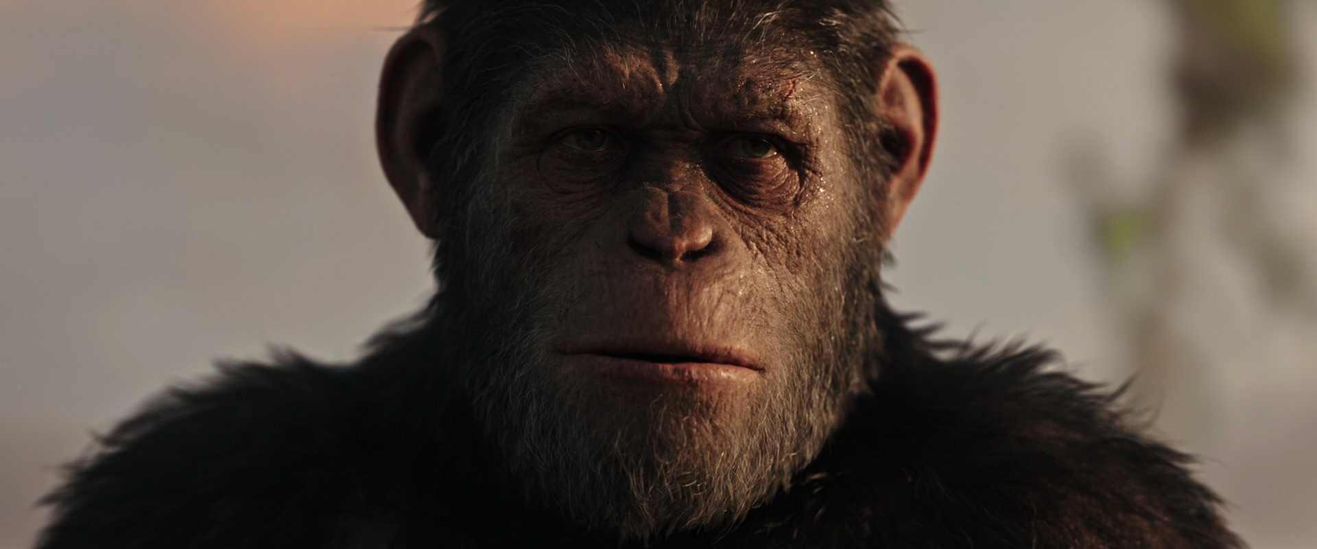 War for the Planet of the Apes (2017) screencap 15504