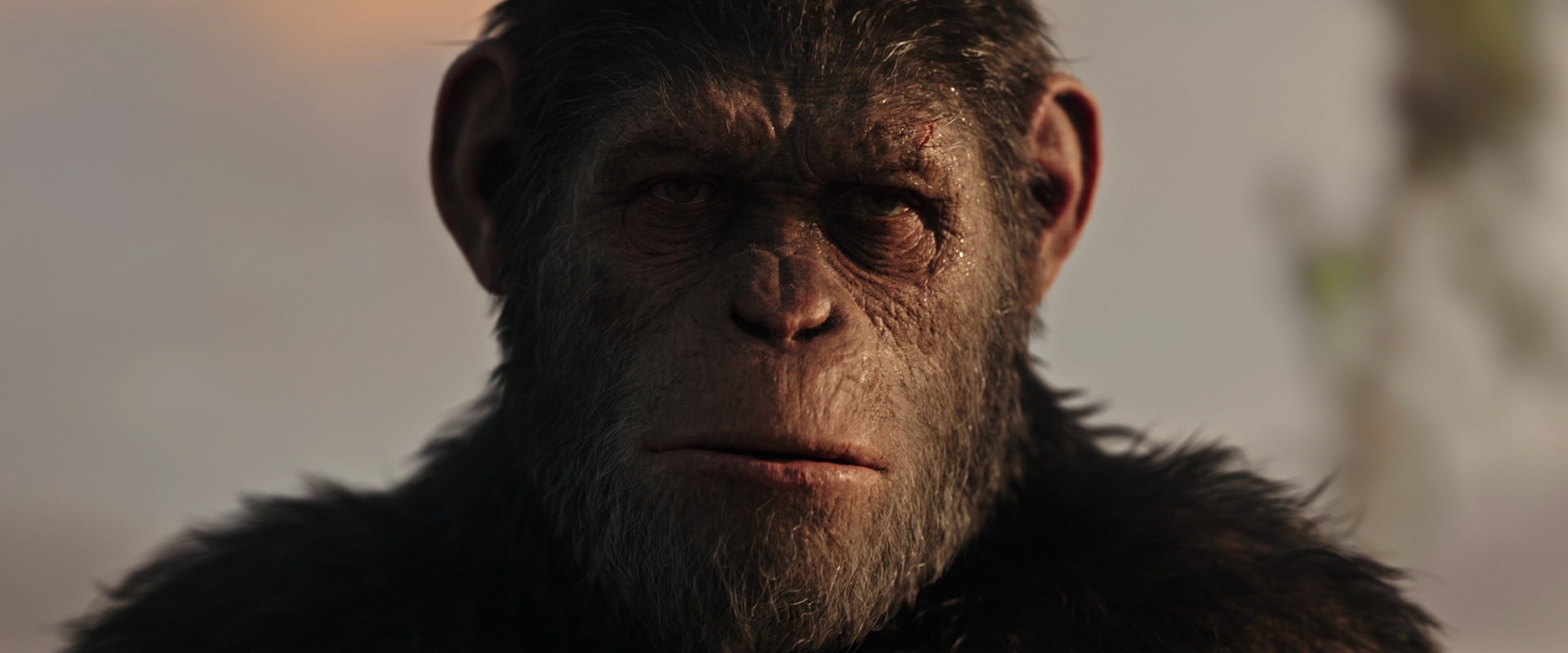 War for the Planet of the Apes (2017) movie still 15505