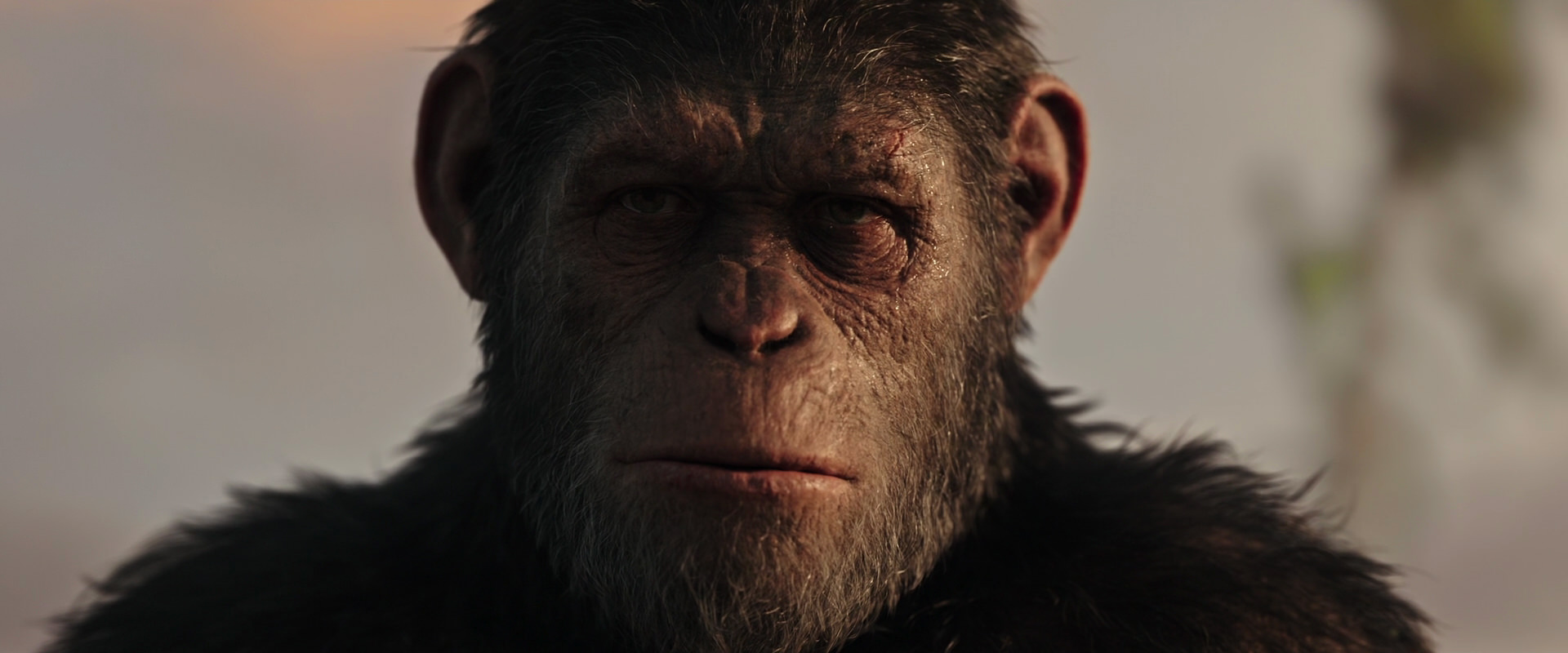 War for the Planet of the Apes (2017) HD screenshot 15506