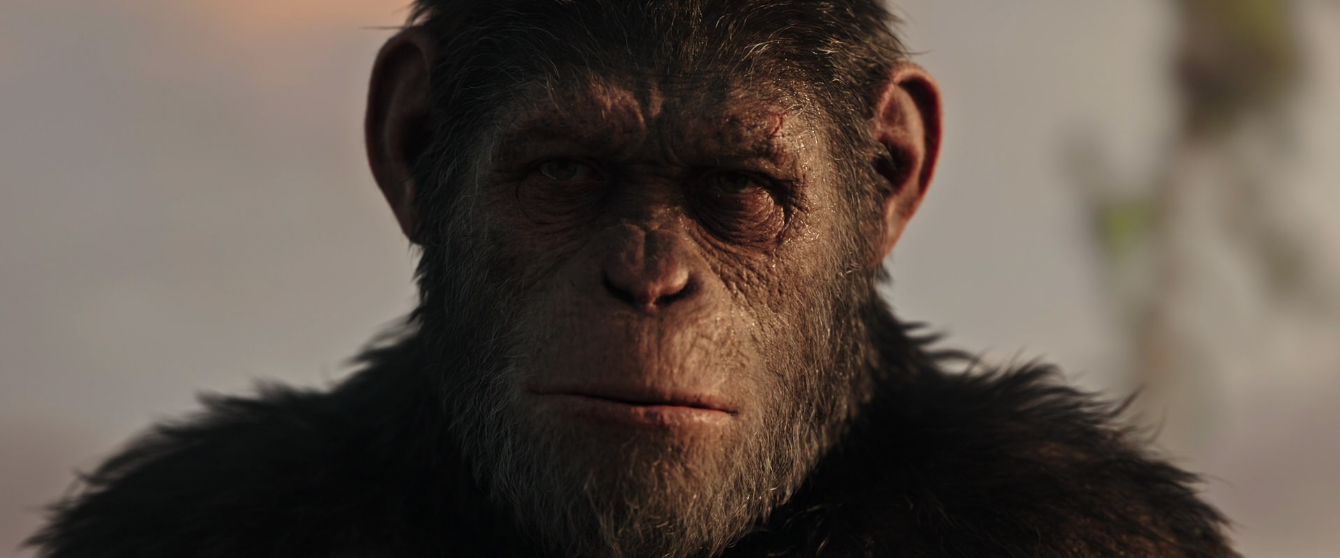 War for the Planet of the Apes (2017) screencap 15507