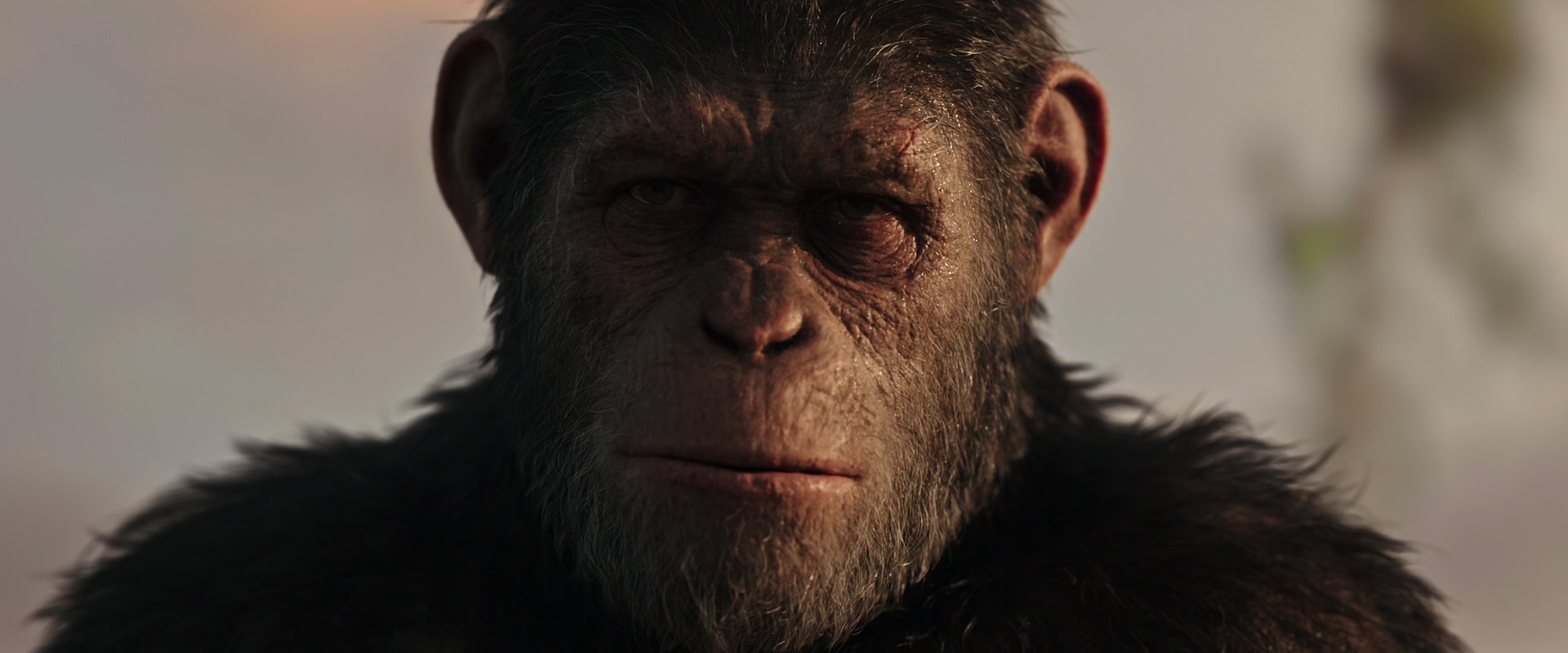 War for the Planet of the Apes (2017) movie still 15508
