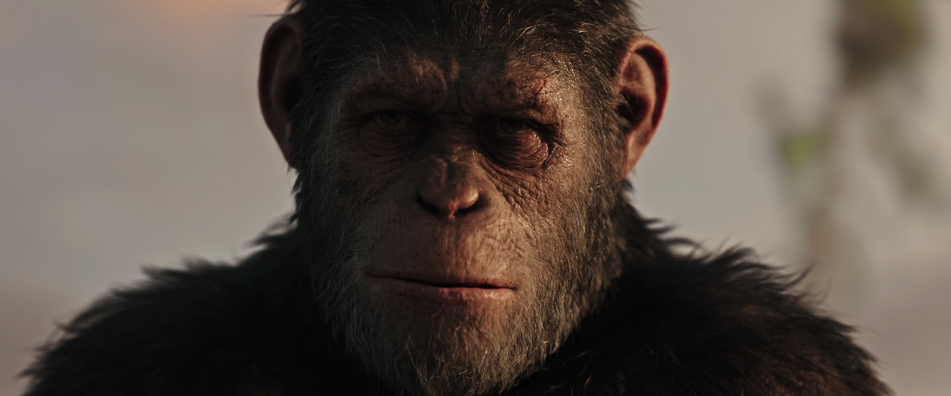 War for the Planet of the Apes (2017) HD screenshot 15509