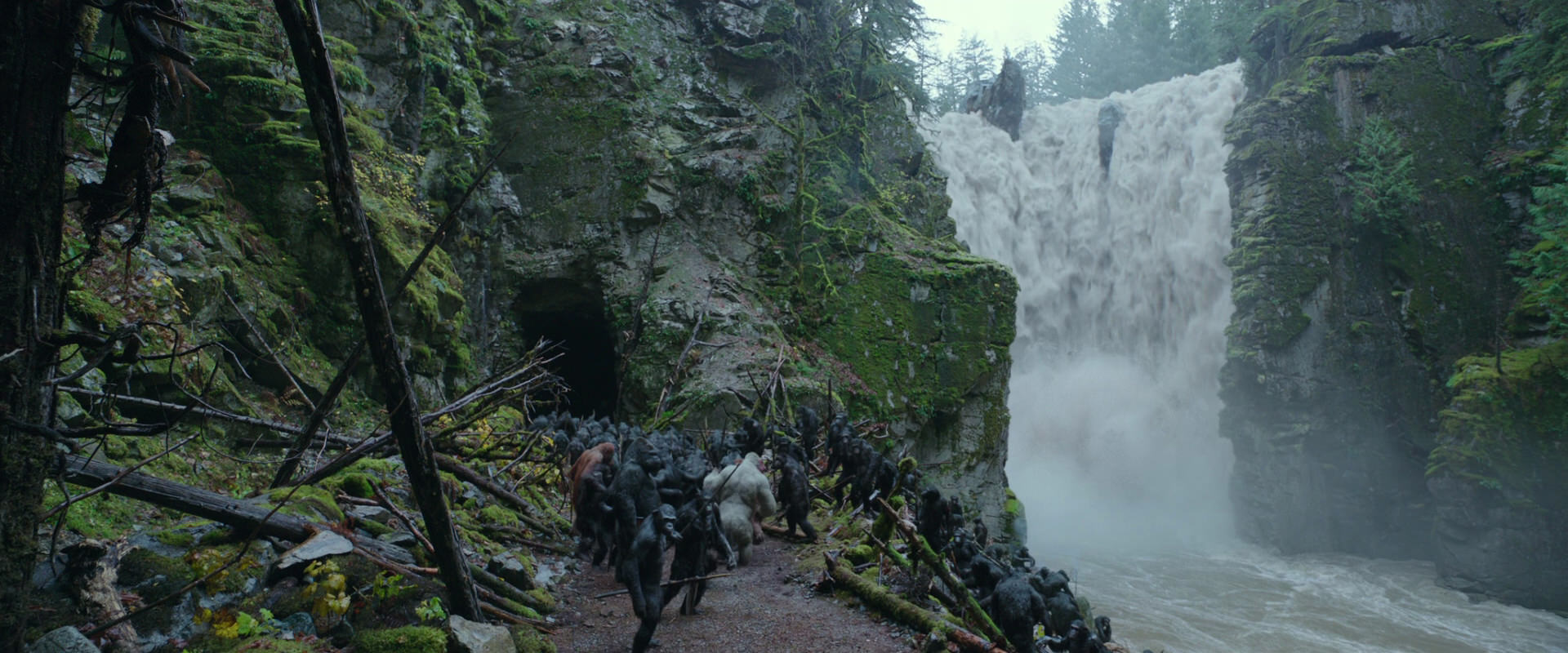 War for the Planet of the Apes (2017) screencap 1551