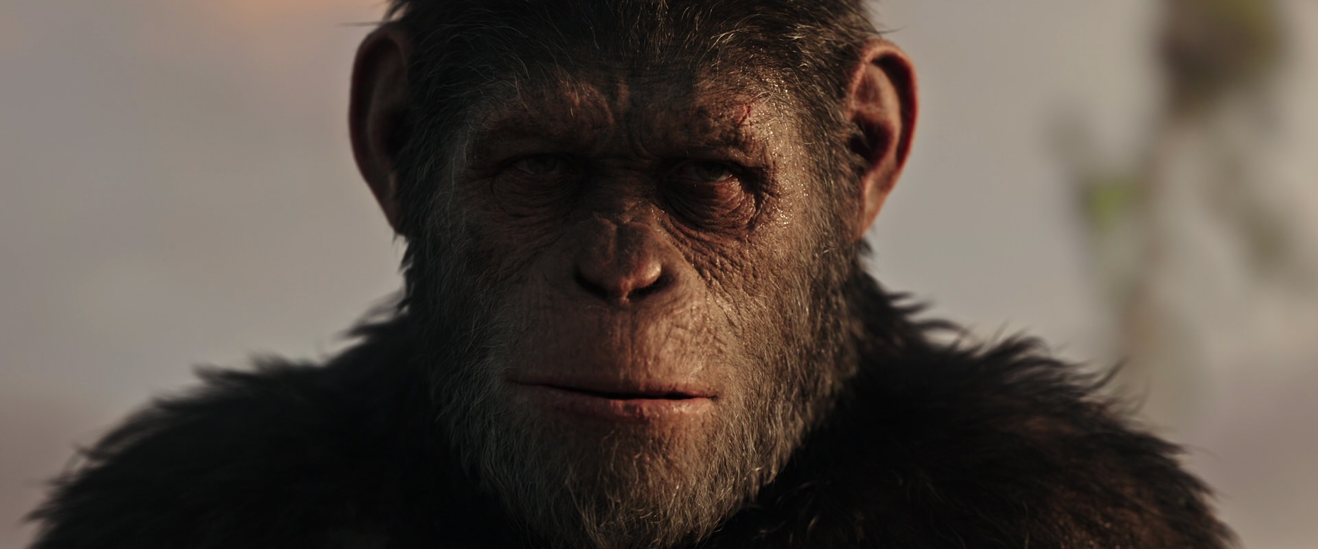War for the Planet of the Apes (2017) screencap 15510