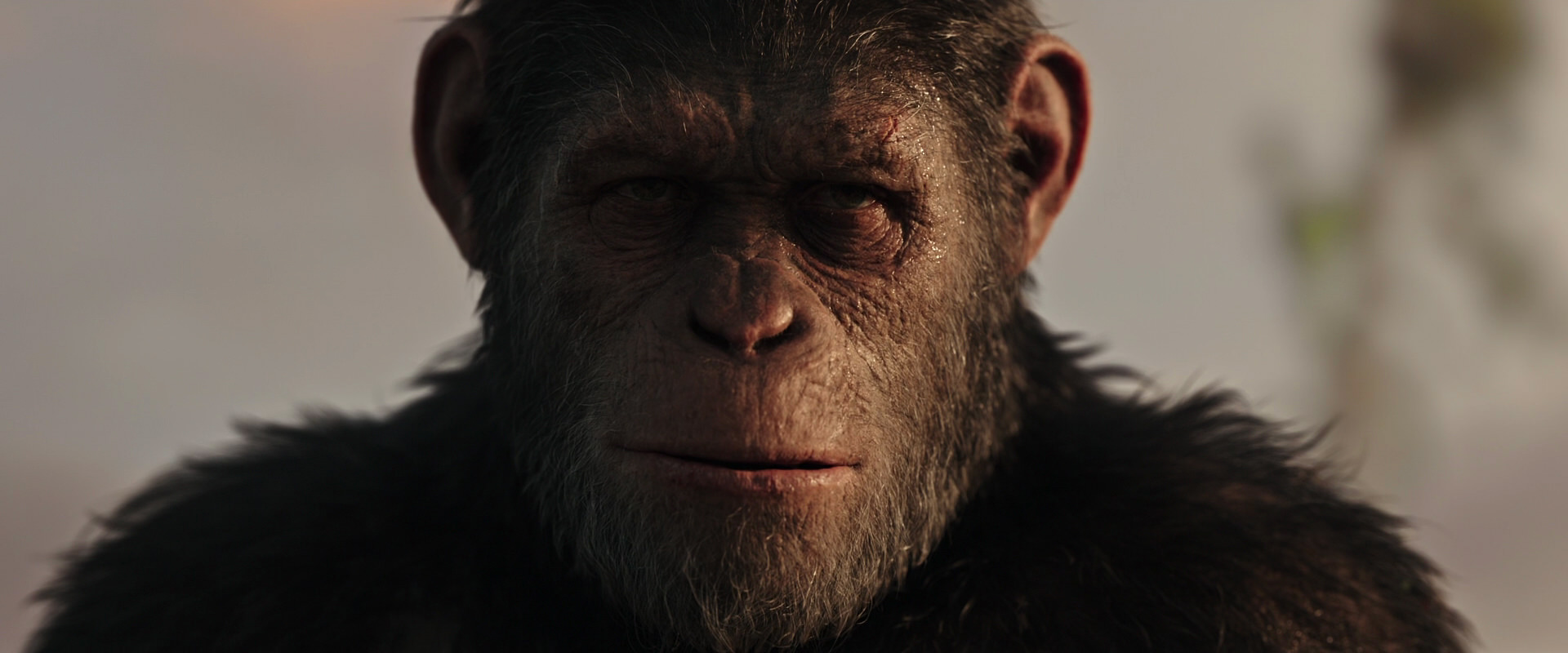 War for the Planet of the Apes (2017) movie still 15511