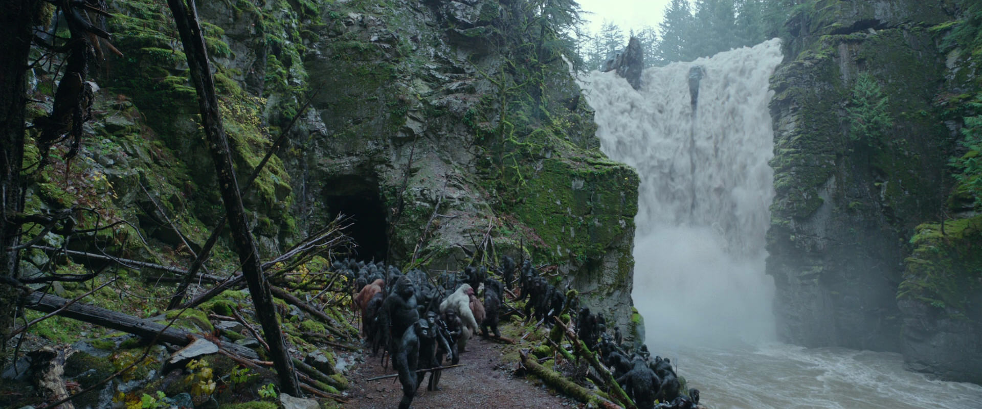 War for the Planet of the Apes (2017) movie still 1552