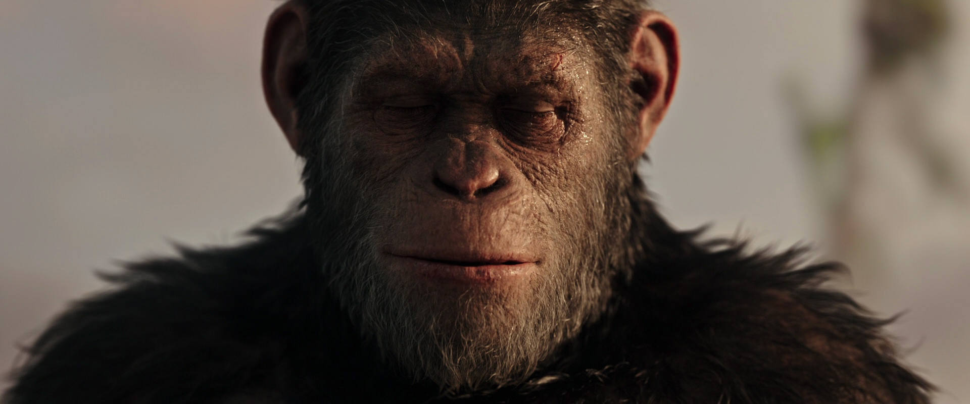 War for the Planet of the Apes (2017) HD screenshot 15524