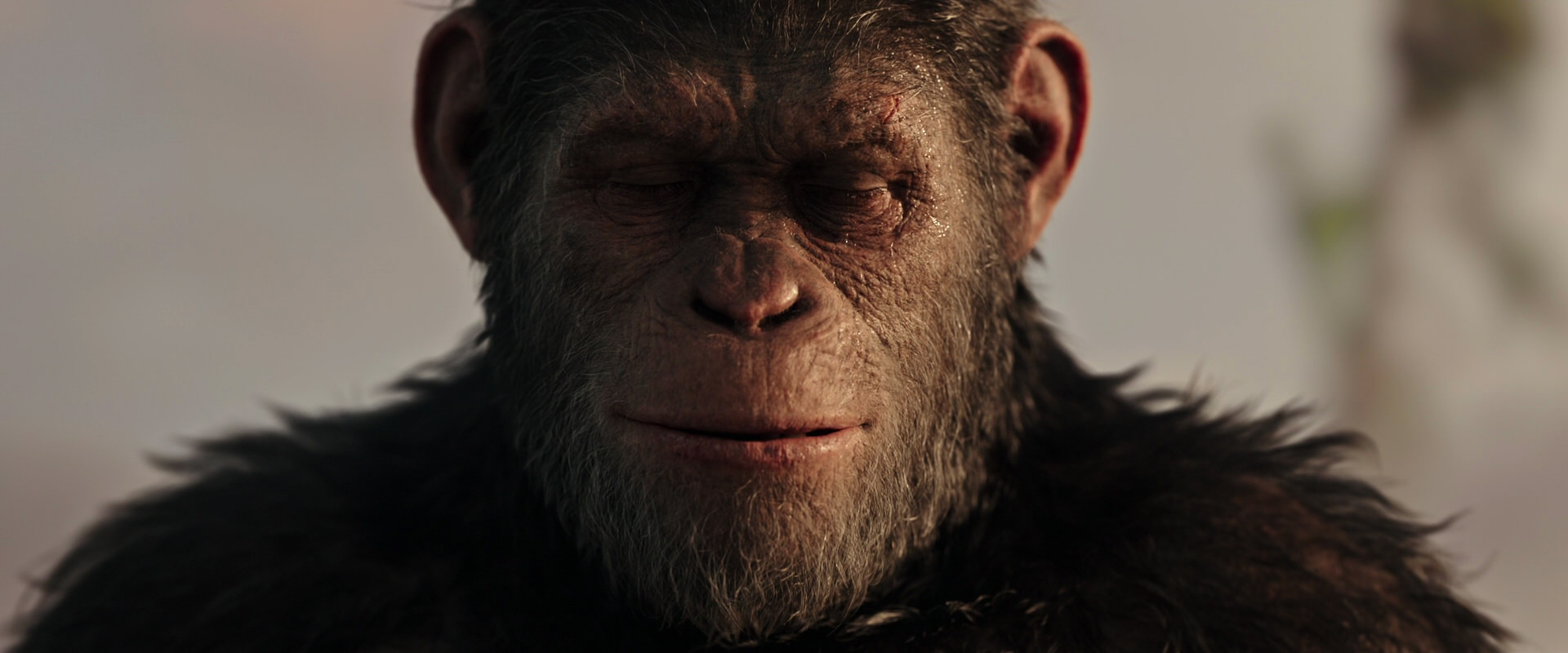 War for the Planet of the Apes (2017) screencap 15525