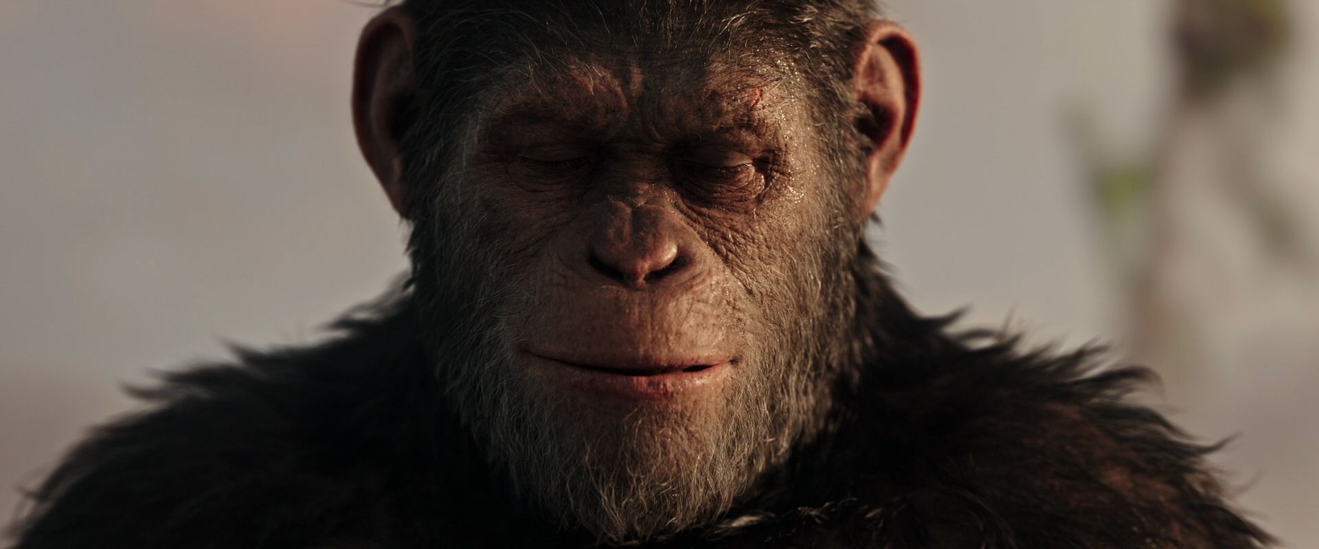 War for the Planet of the Apes (2017) movie still 15526