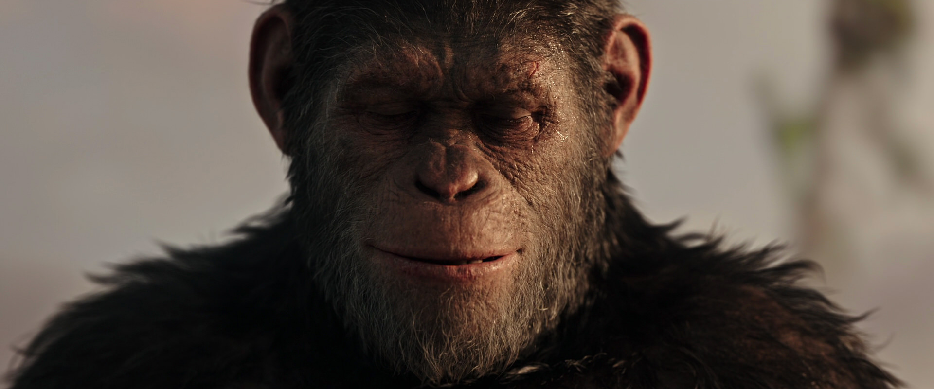 War for the Planet of the Apes (2017) HD screenshot 15527