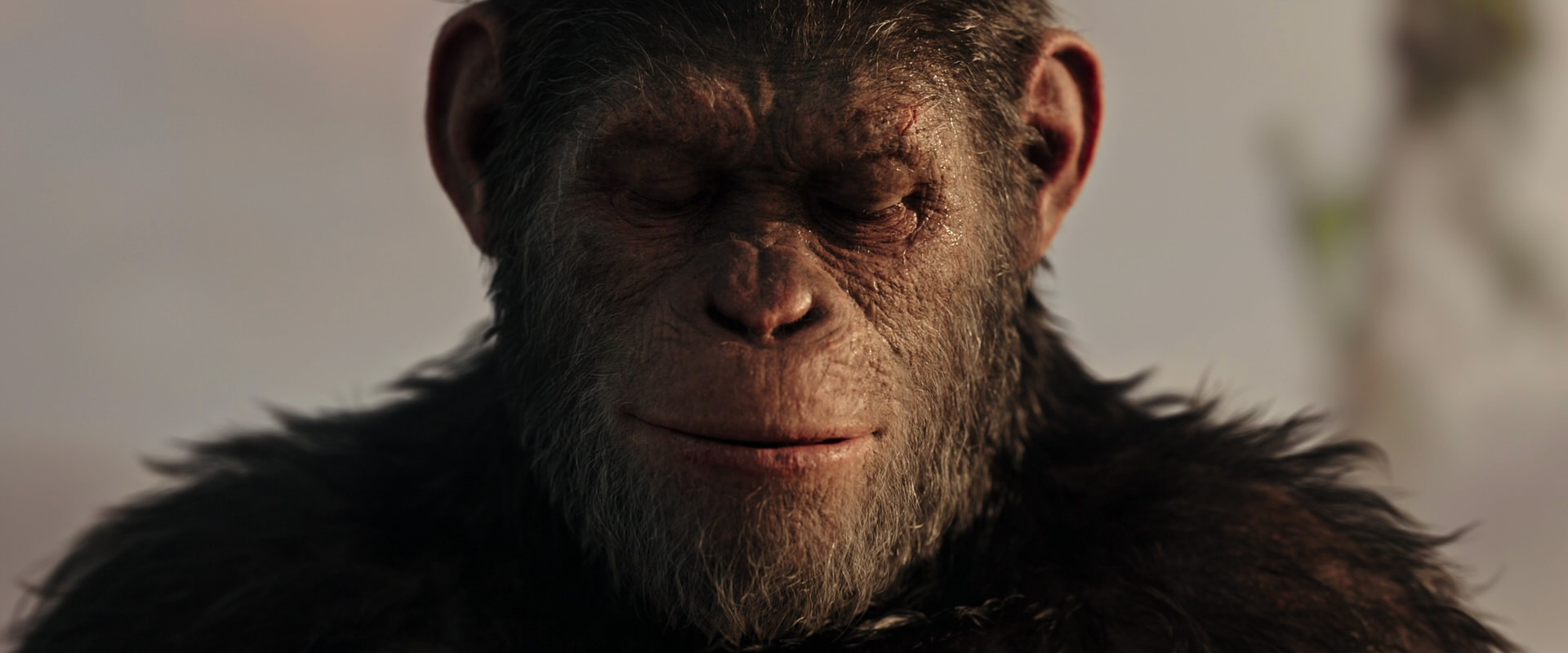War for the Planet of the Apes (2017) movie still 15529