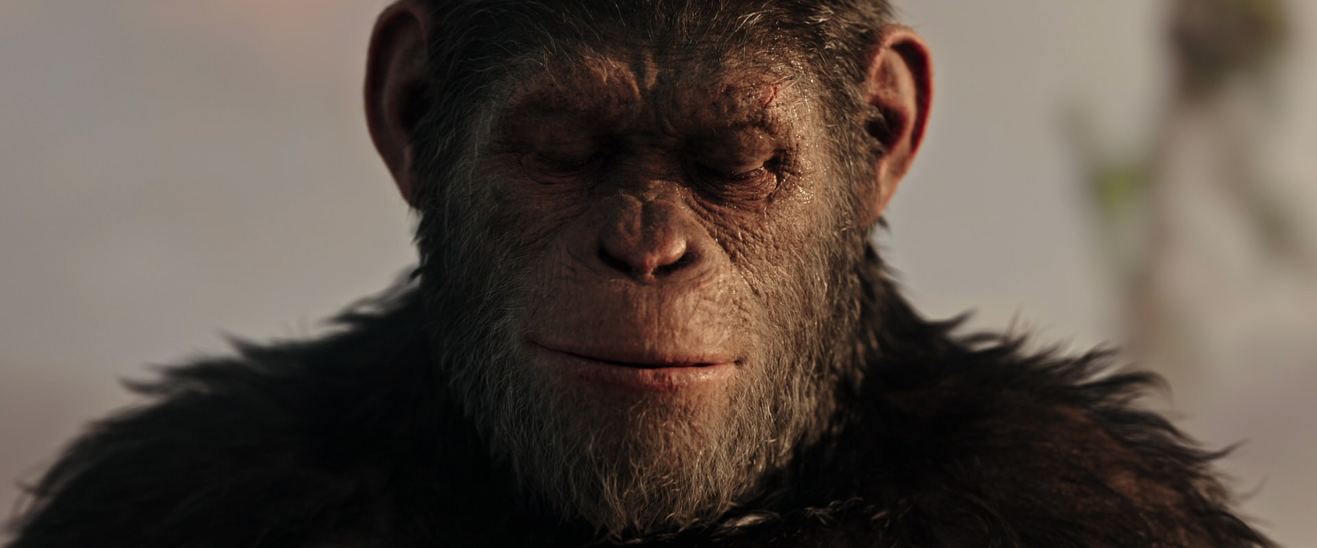 War for the Planet of the Apes (2017) HD screenshot 15530