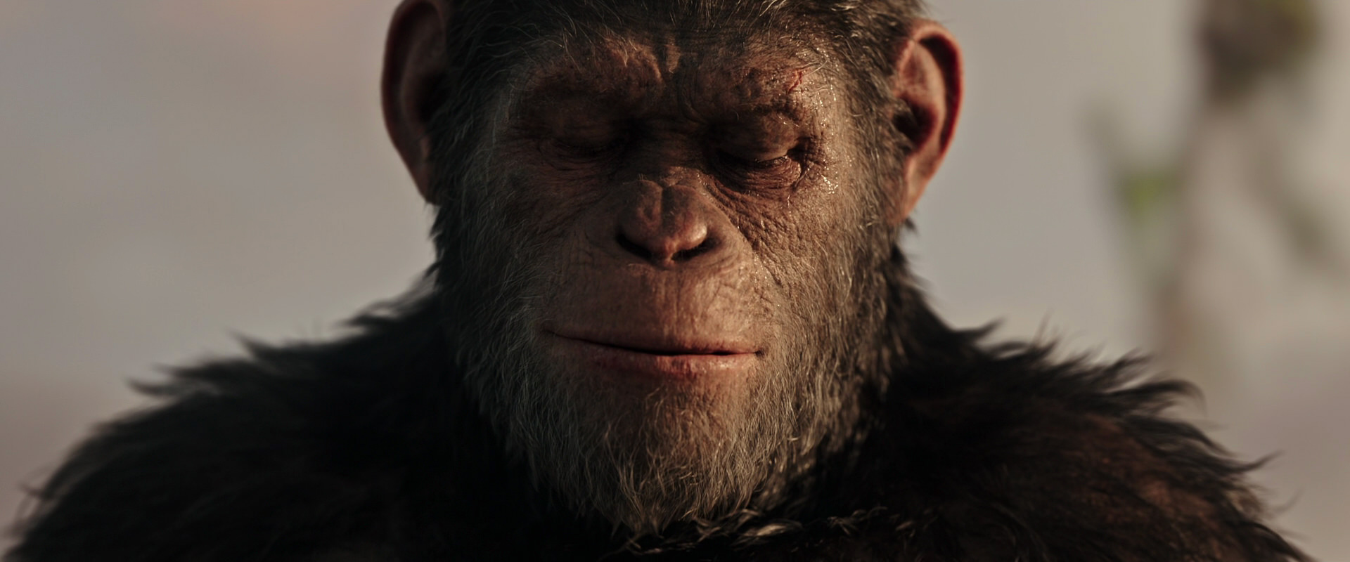 War for the Planet of the Apes (2017) screencap 15531
