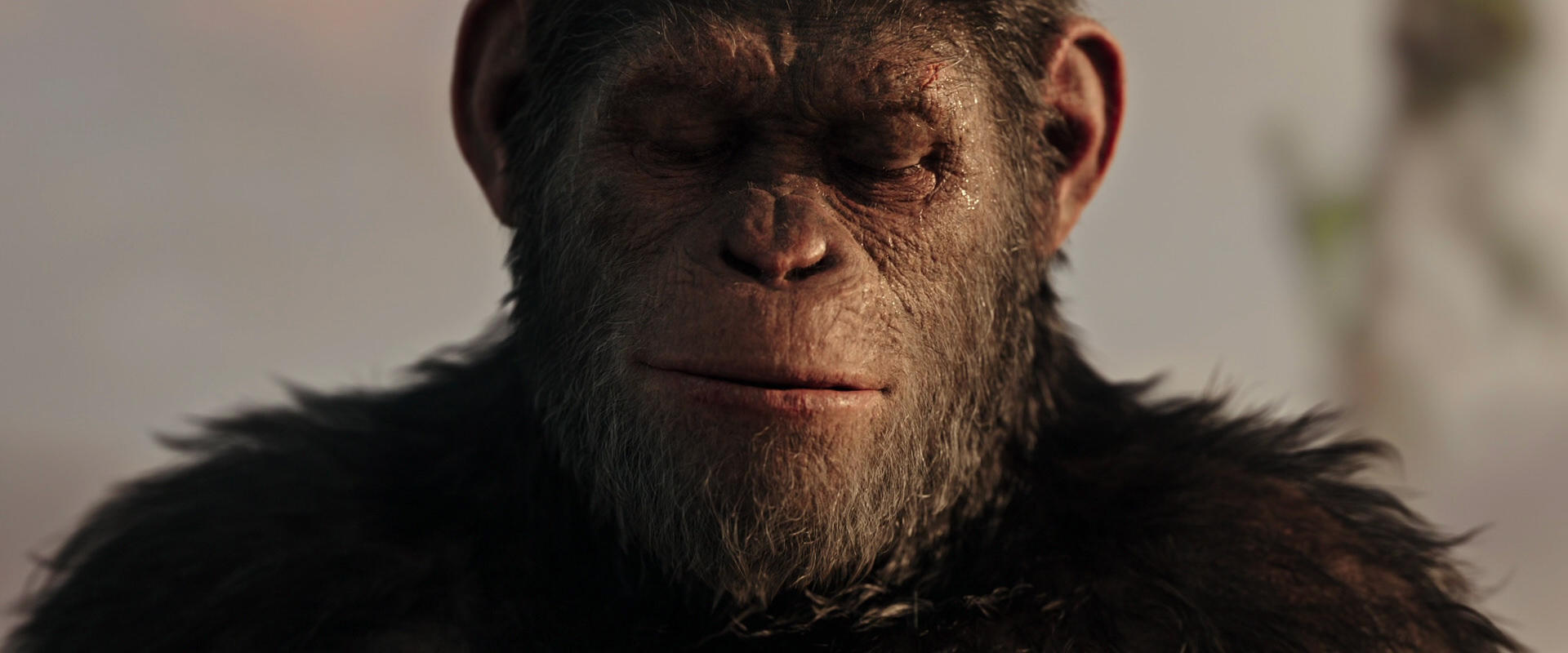 War for the Planet of the Apes (2017) movie still 15532