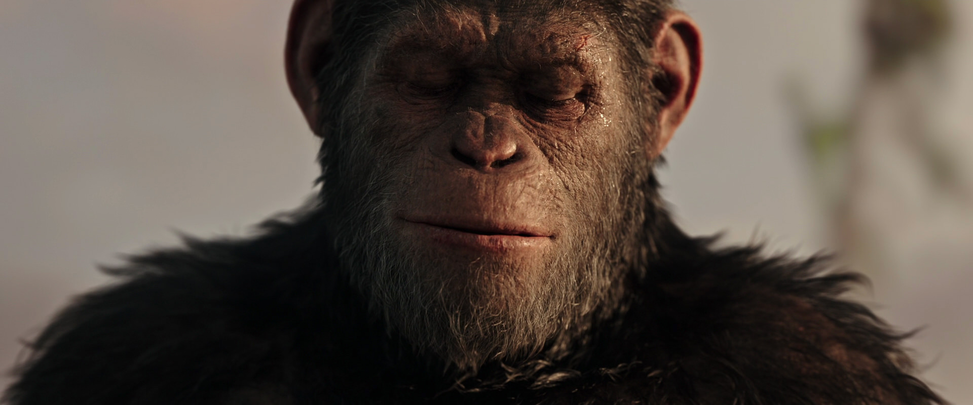War for the Planet of the Apes (2017) HD screenshot 15533