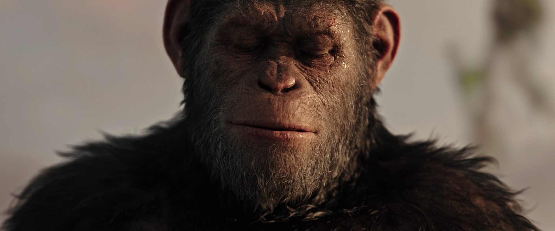 War for the Planet of the Apes (2017) screencap 15534