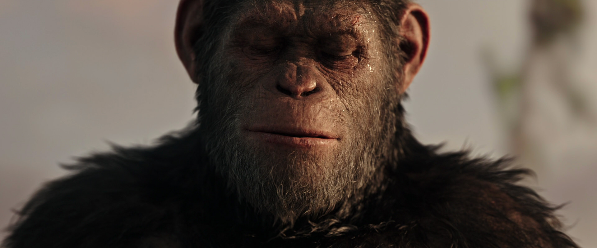War for the Planet of the Apes (2017) movie still 15535