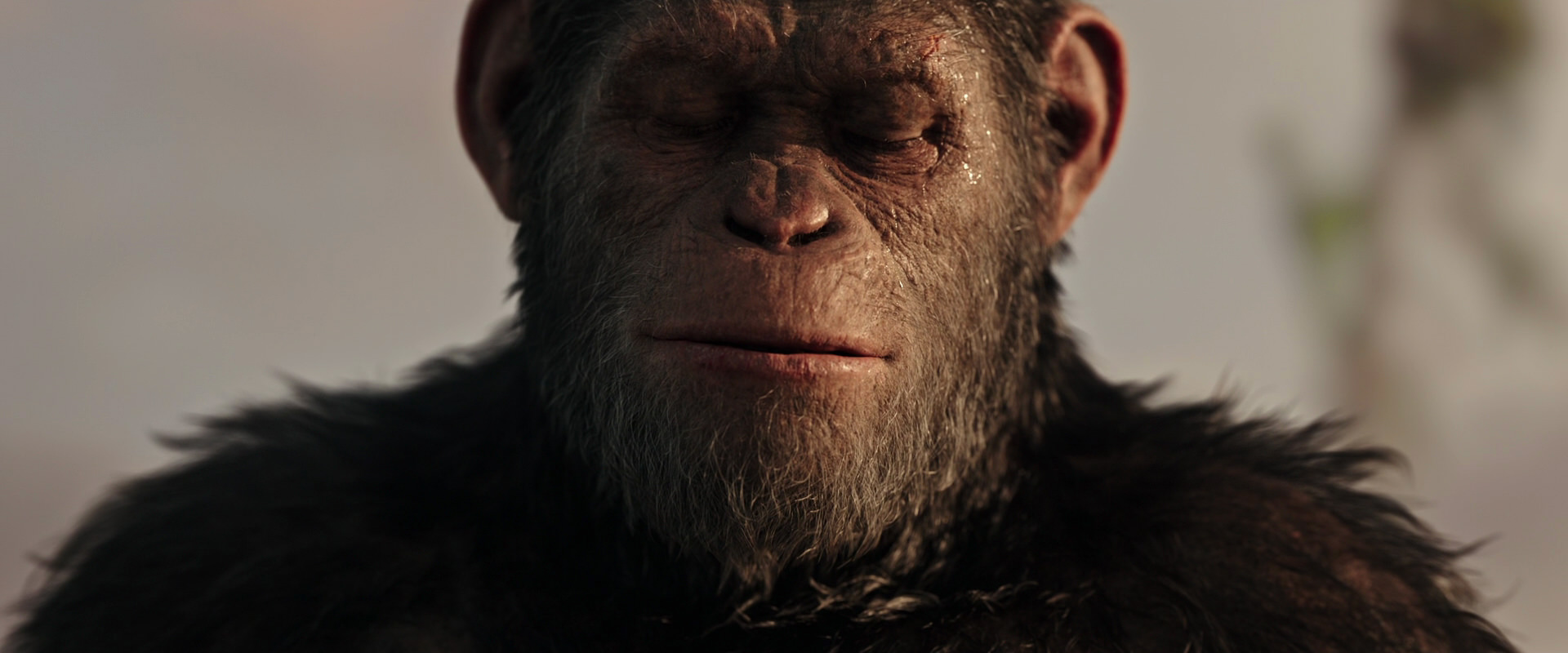 War for the Planet of the Apes (2017) HD screenshot 15536
