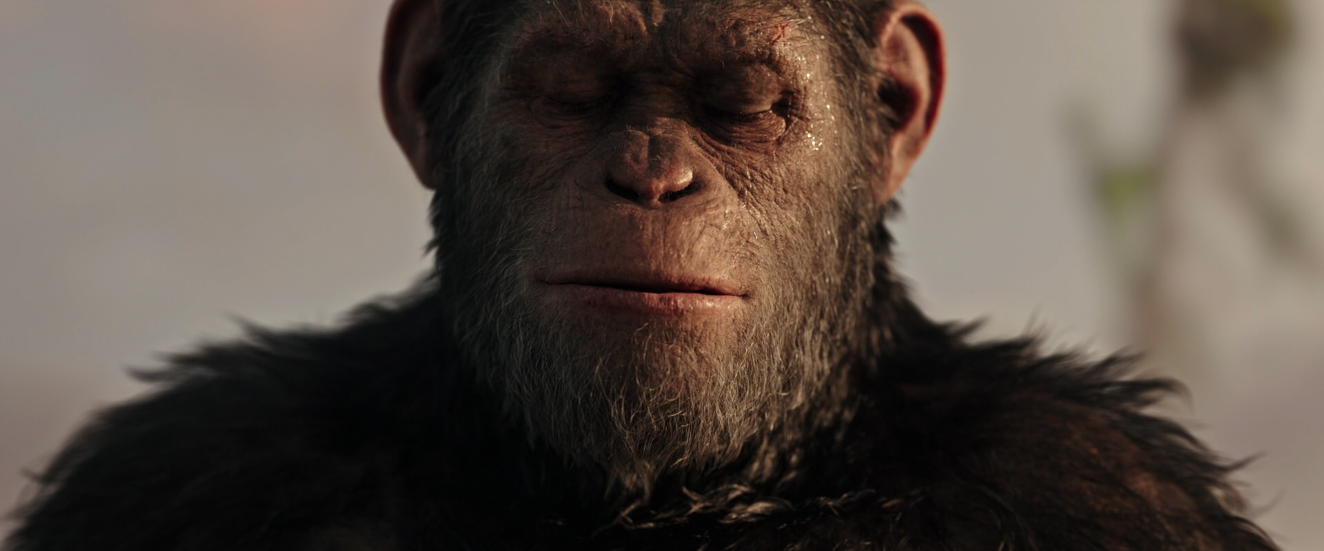 War for the Planet of the Apes (2017) screencap 15537