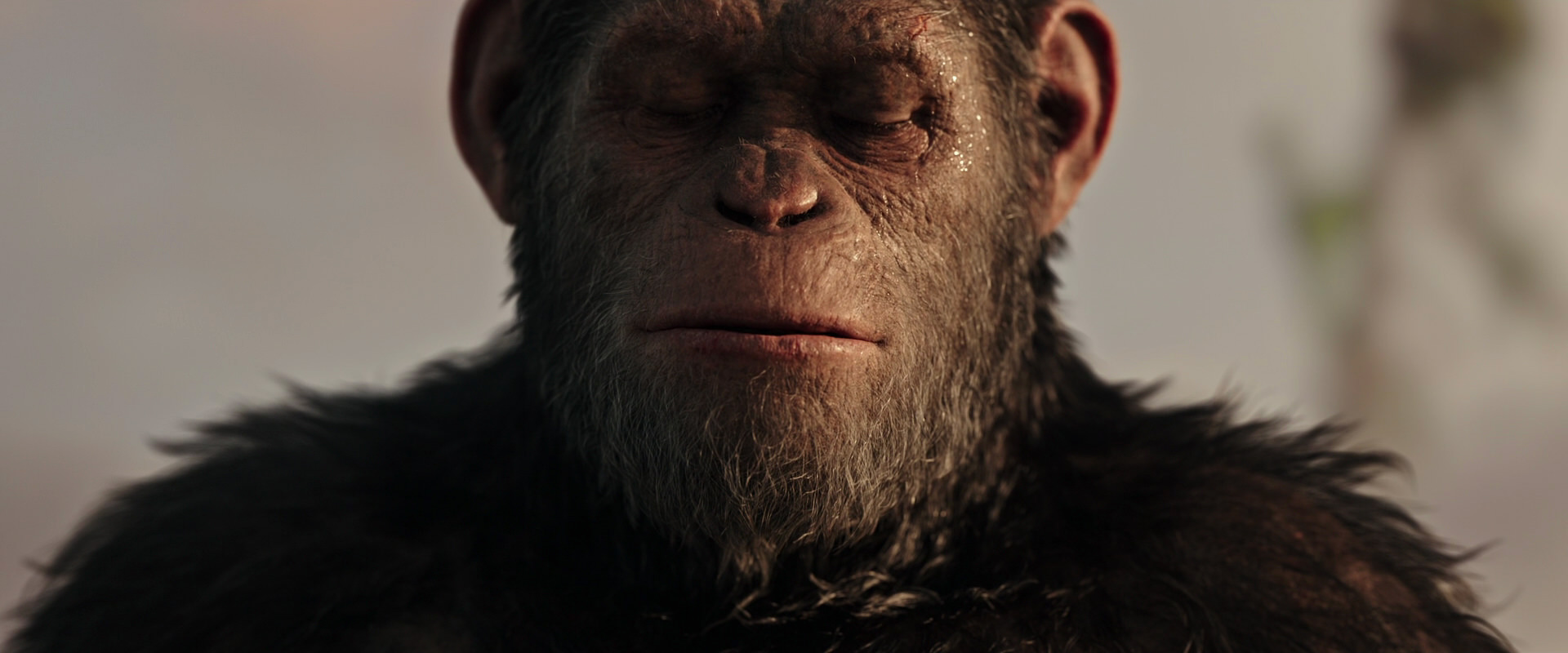 War for the Planet of the Apes (2017) HD screenshot 15539