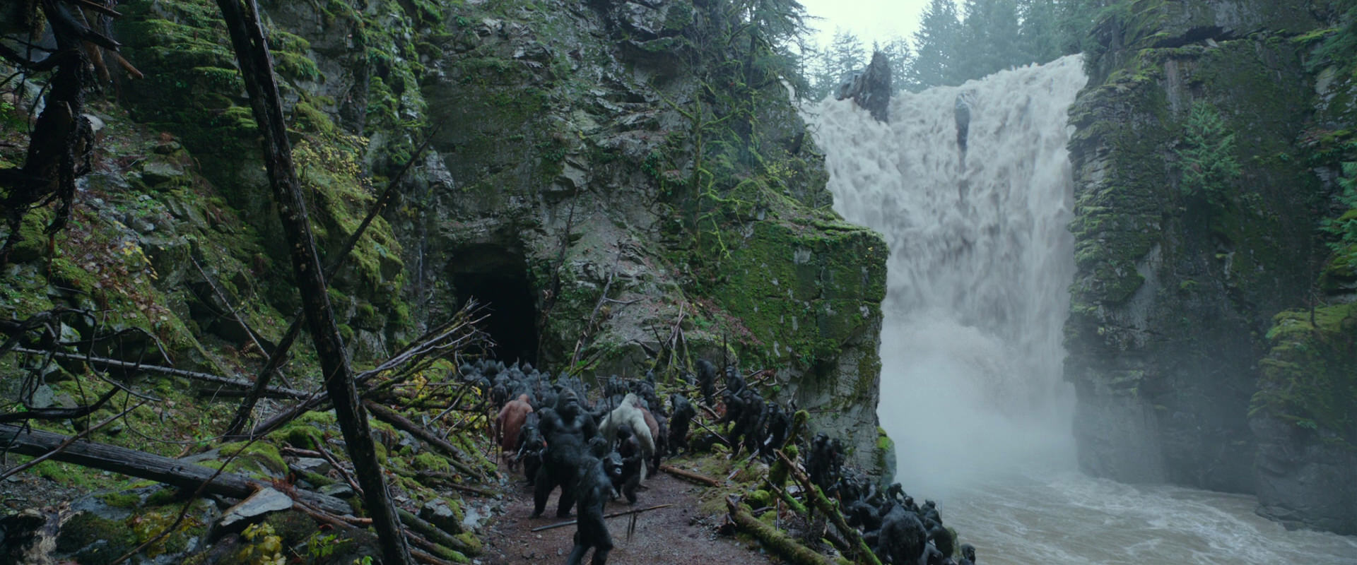 War for the Planet of the Apes (2017) screencap 1554
