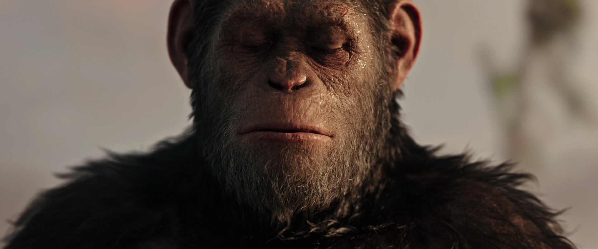 War for the Planet of the Apes (2017) movie still 15541