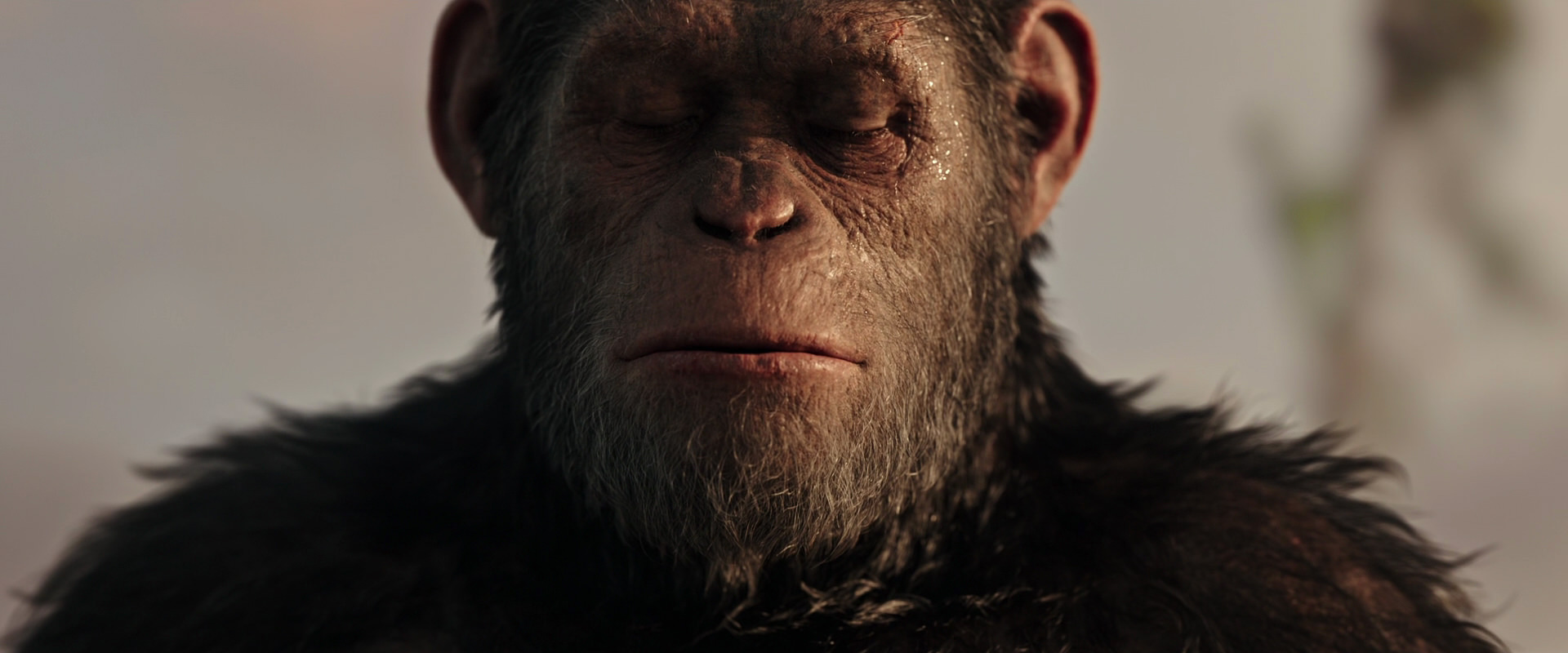 War for the Planet of the Apes (2017) HD screenshot 15542
