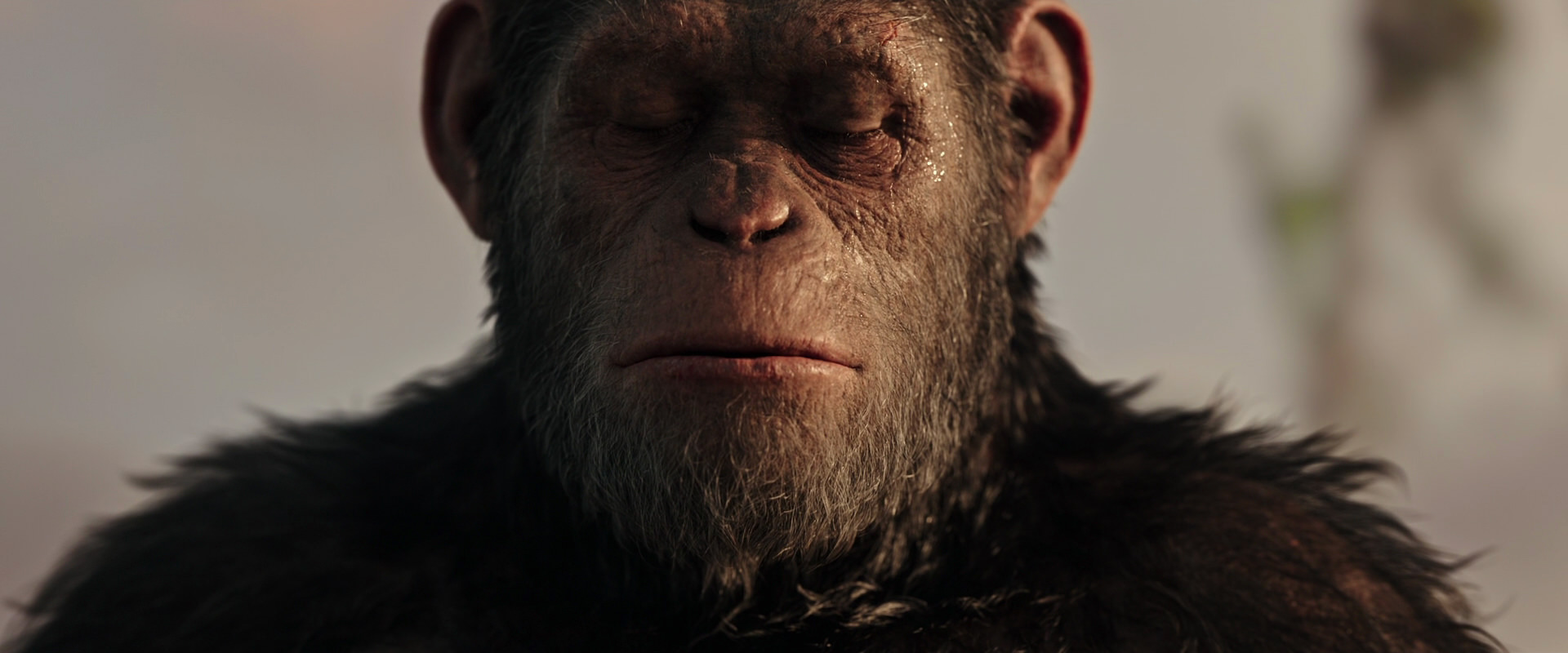 War for the Planet of the Apes (2017) screencap 15543