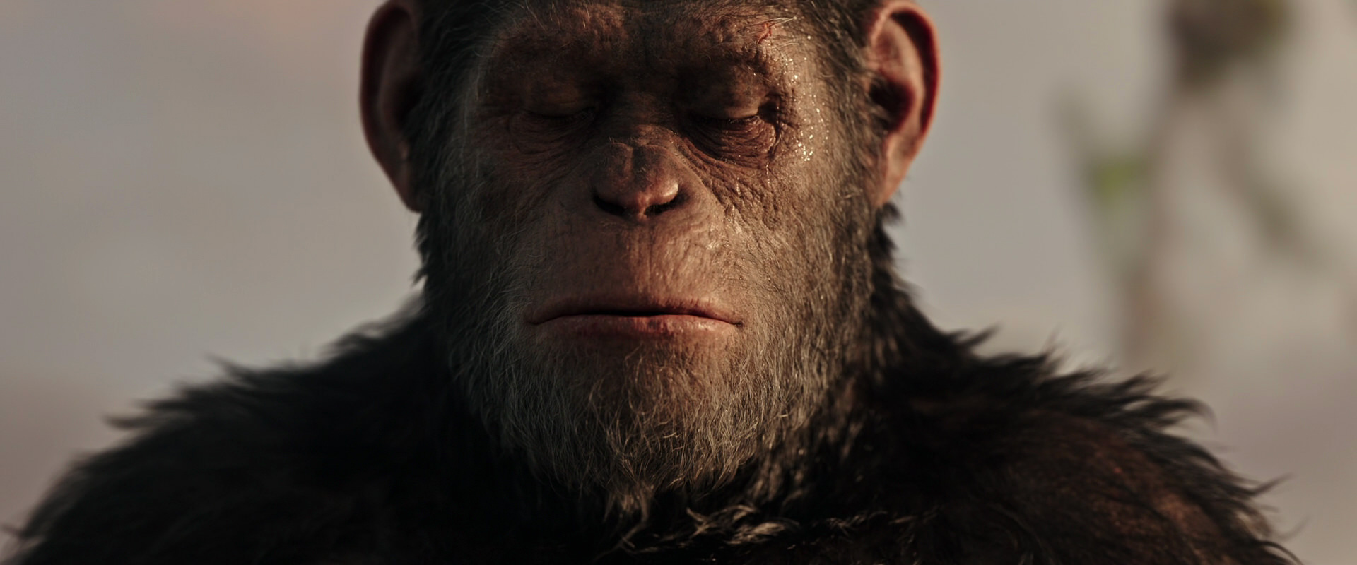 War for the Planet of the Apes (2017) movie still 15544