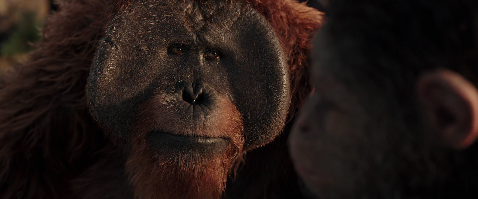 War for the Planet of the Apes (2017) HD screenshot 15545