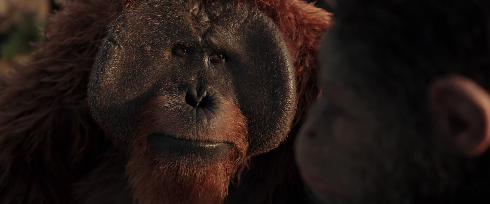 War for the Planet of the Apes (2017) screencap 15546
