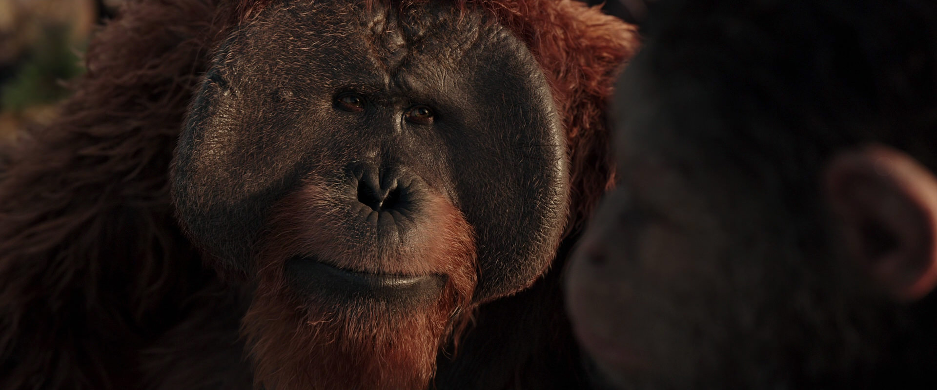 War for the Planet of the Apes (2017) movie still 15547