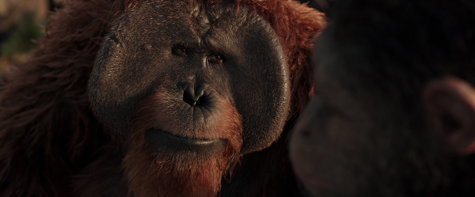 War for the Planet of the Apes (2017) HD screenshot 15548