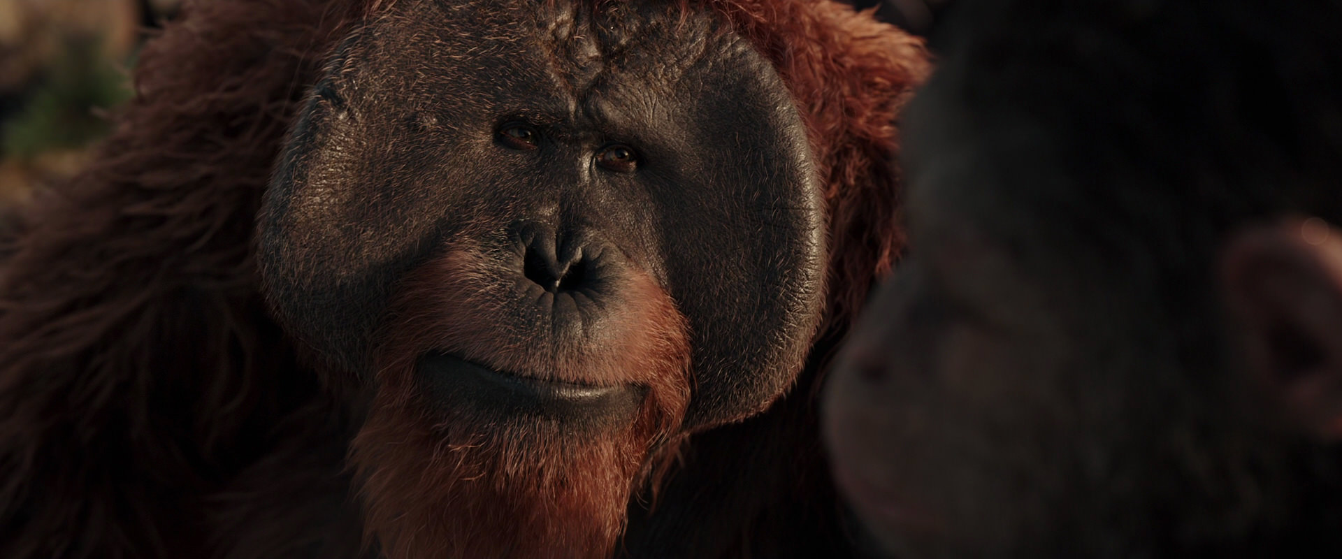 War for the Planet of the Apes (2017) screencap 15549