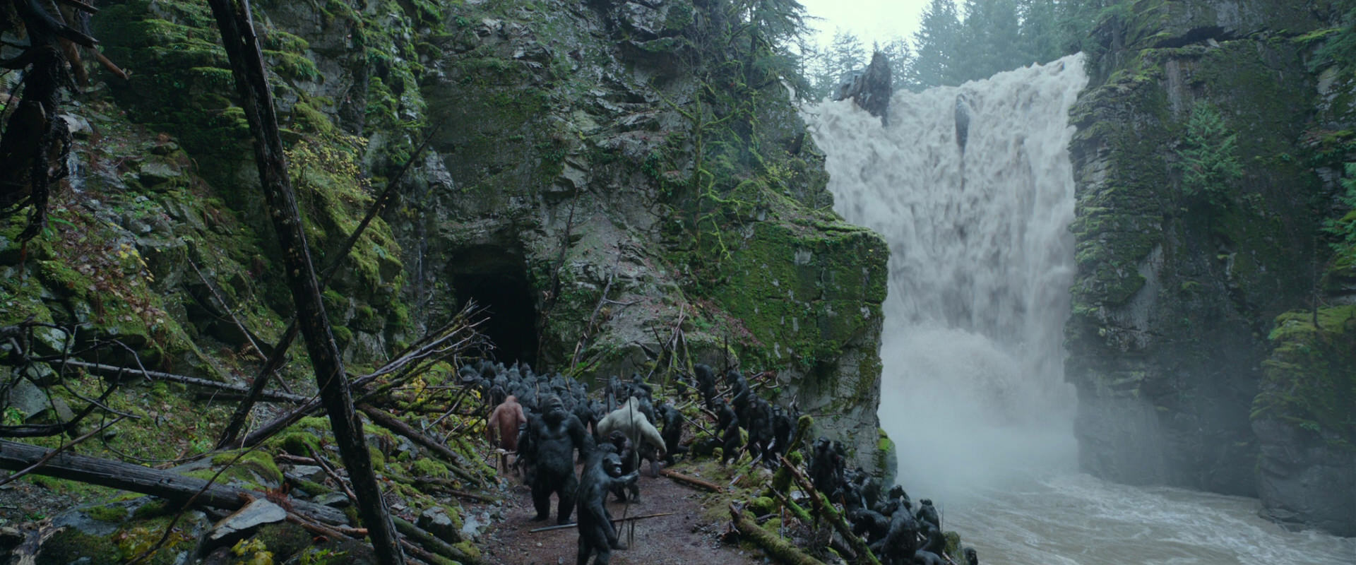 War for the Planet of the Apes (2017) movie still 1555
