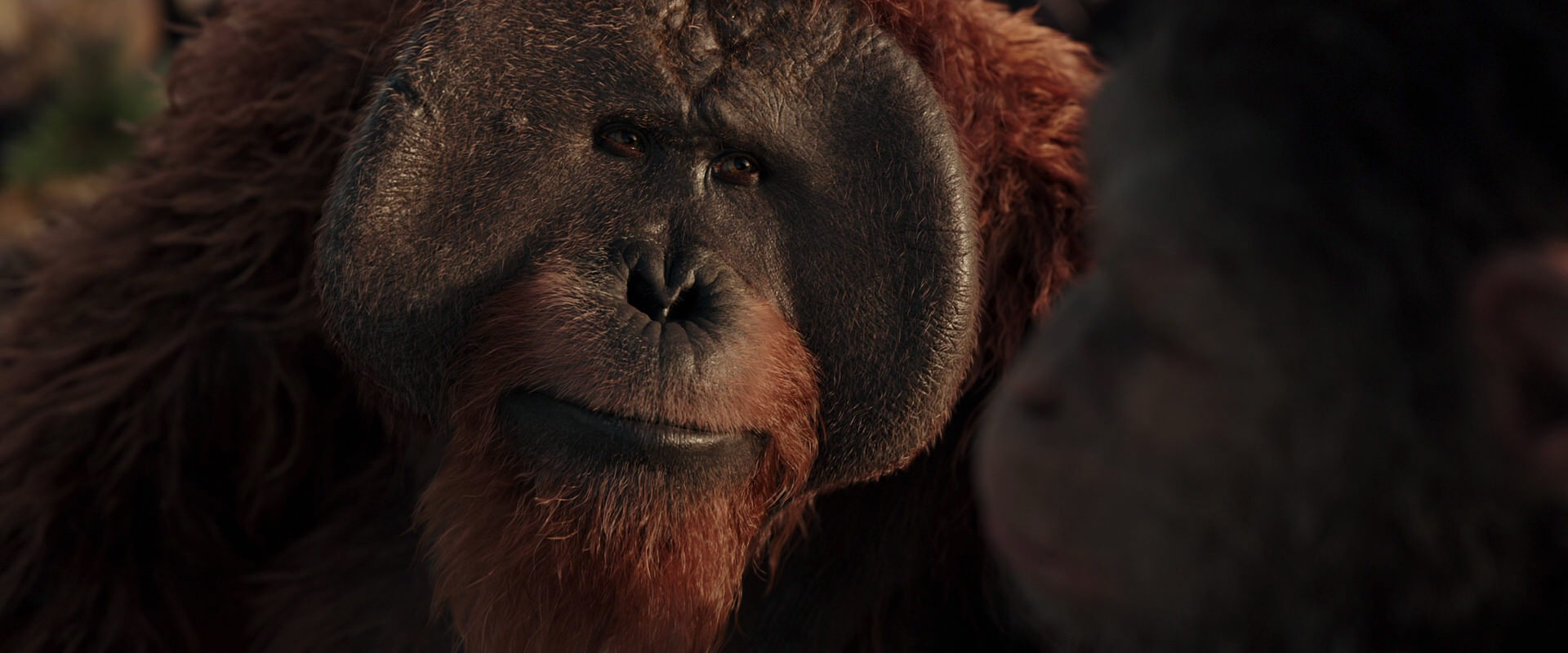 War for the Planet of the Apes (2017) movie still 15550