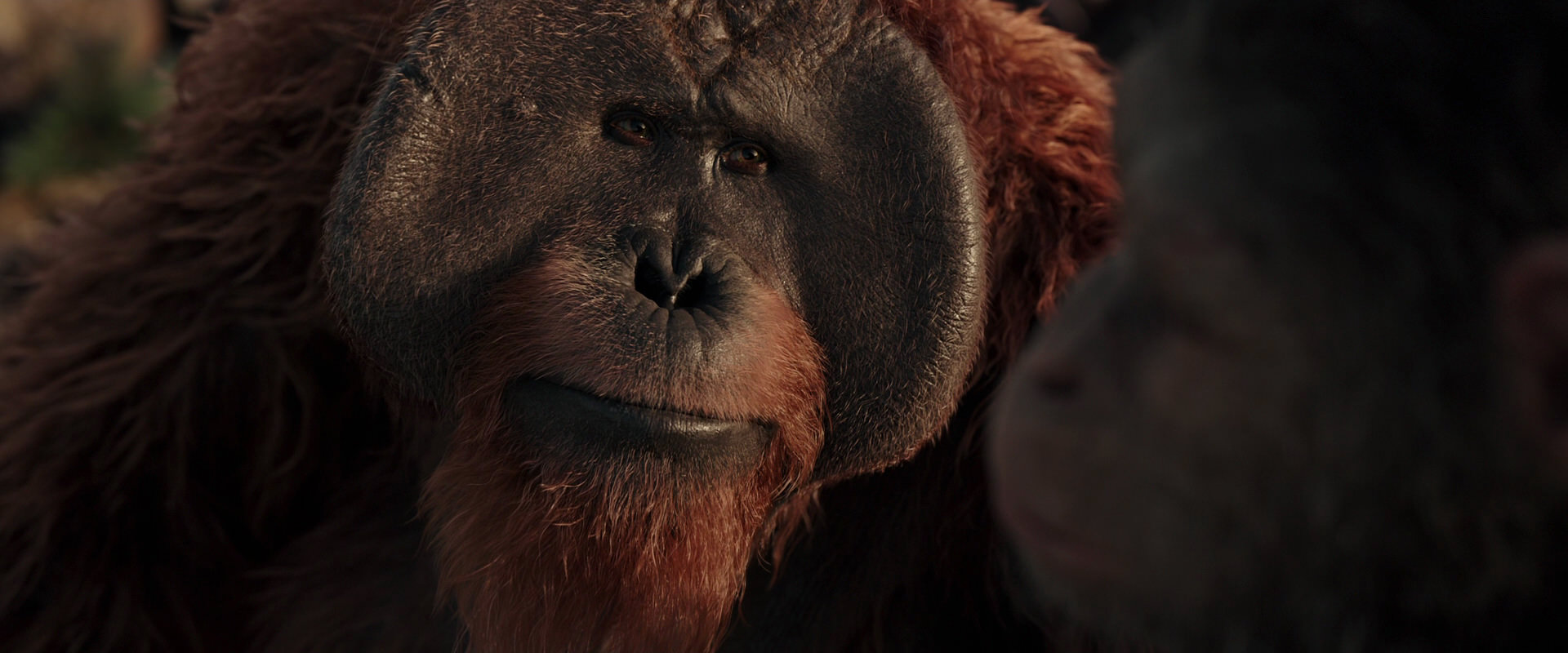 War for the Planet of the Apes (2017) HD screenshot 15551