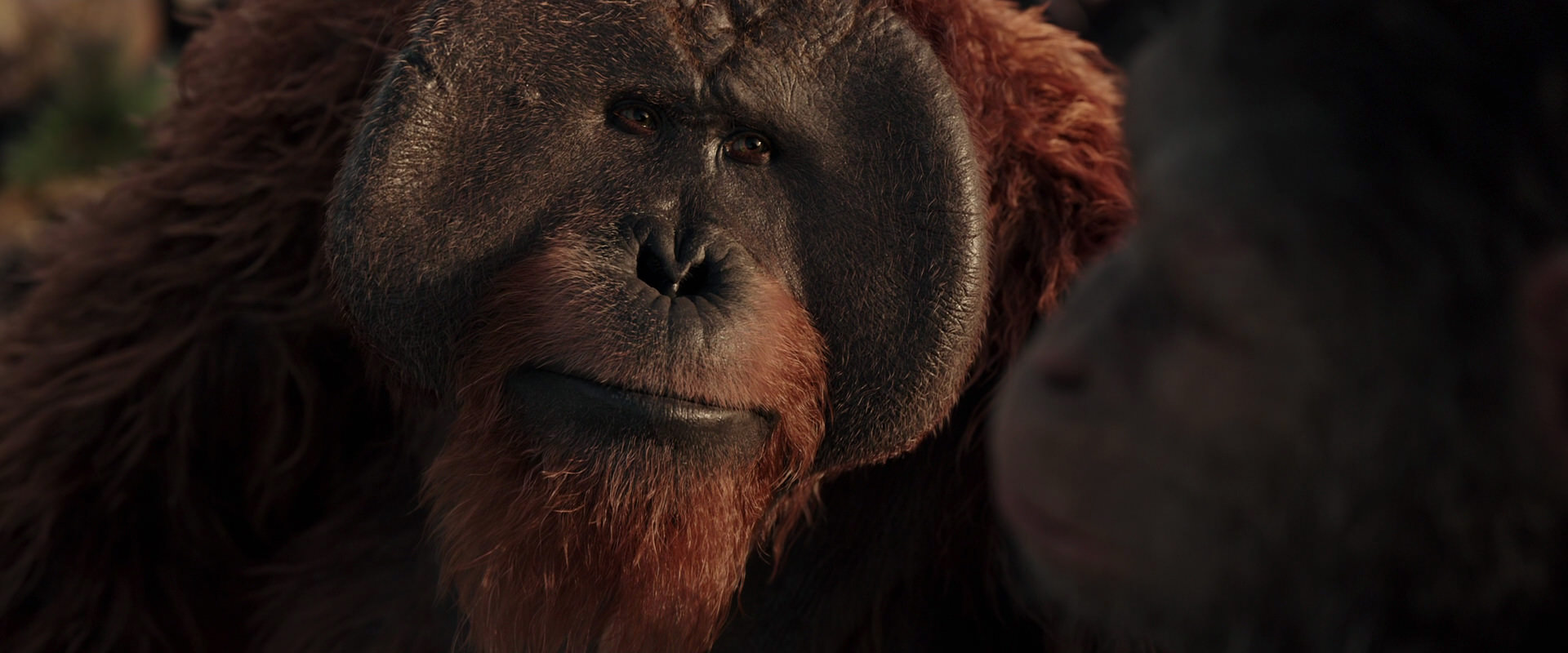War for the Planet of the Apes (2017) screencap 15552