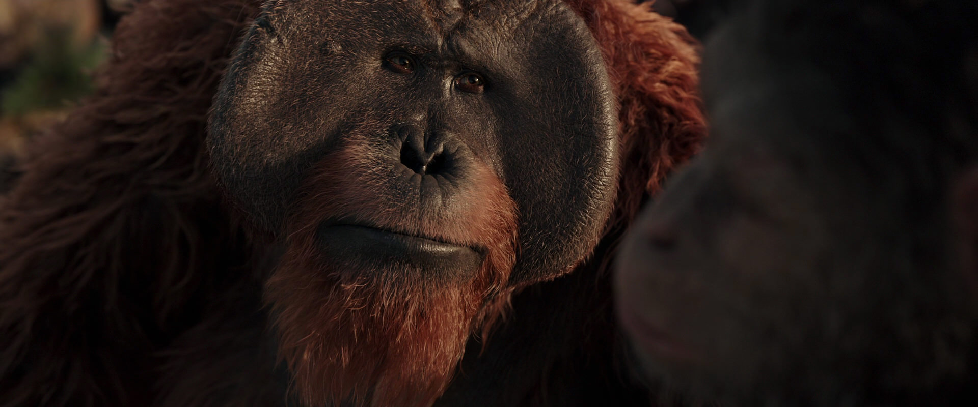 War for the Planet of the Apes (2017) movie still 15553