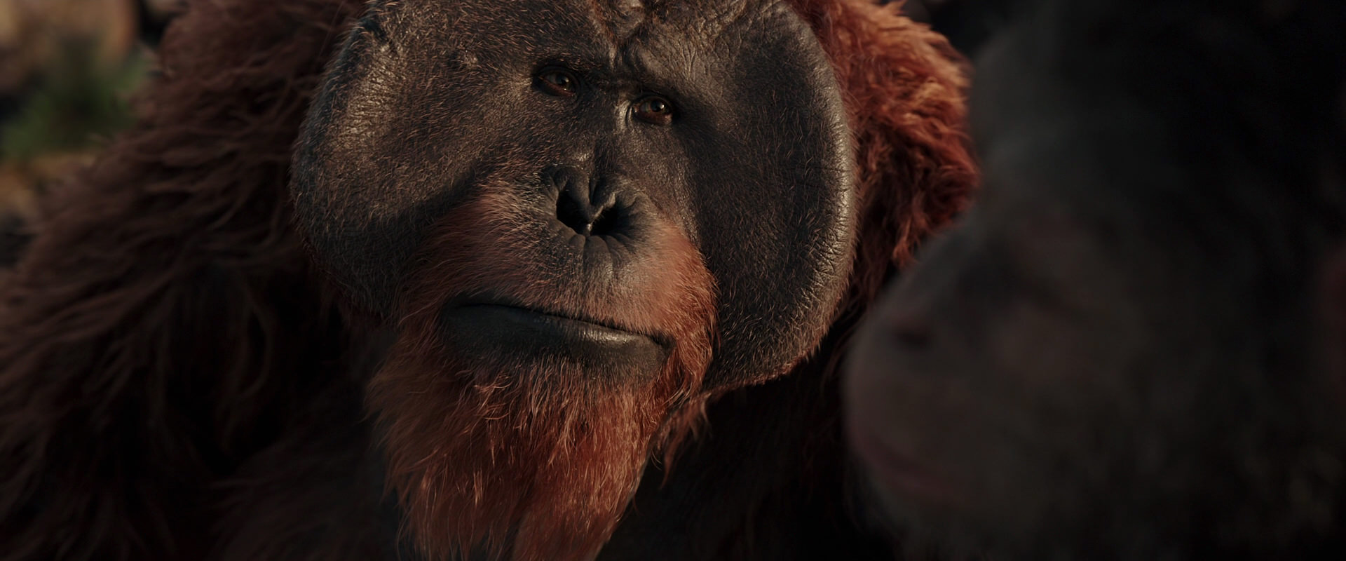War for the Planet of the Apes (2017) HD screenshot 15554