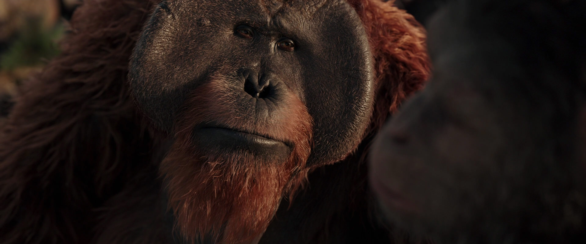 War for the Planet of the Apes (2017) screencap 15555